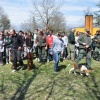 Cani da Caccia alla Scuola di Povoletto (UD)
