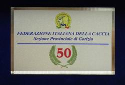 Federcaccia GO 250 P1080154