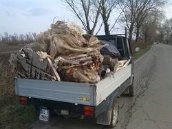 Cacciatori Staranzano 3